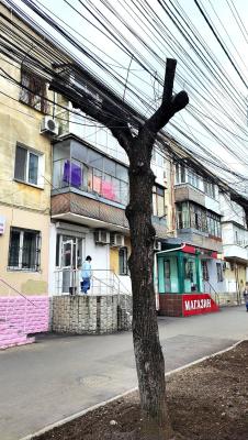 Прикрепленное изображение: 3.jpg